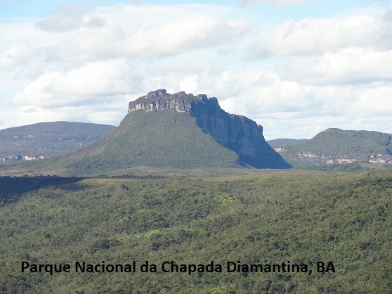 					Visualizar v. 7 n. 11 (2019): PN da Chapada Diamantina - Bahia
				