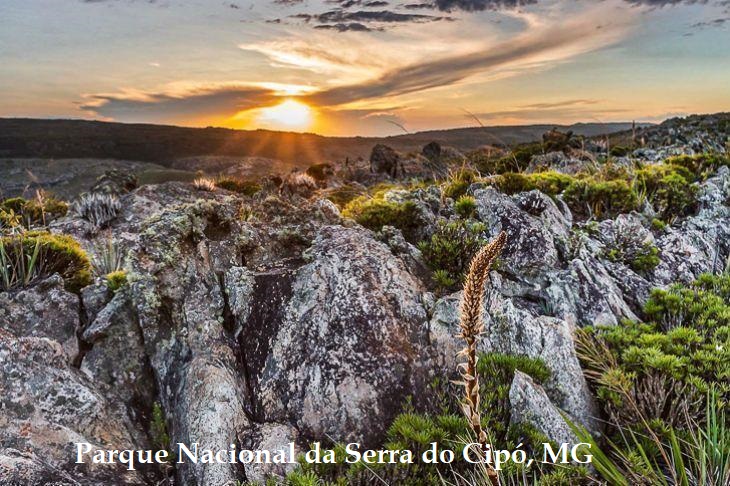 					Visualizar v. 8 n. 12 (2020): PN da Serra do Cipó - MG
				