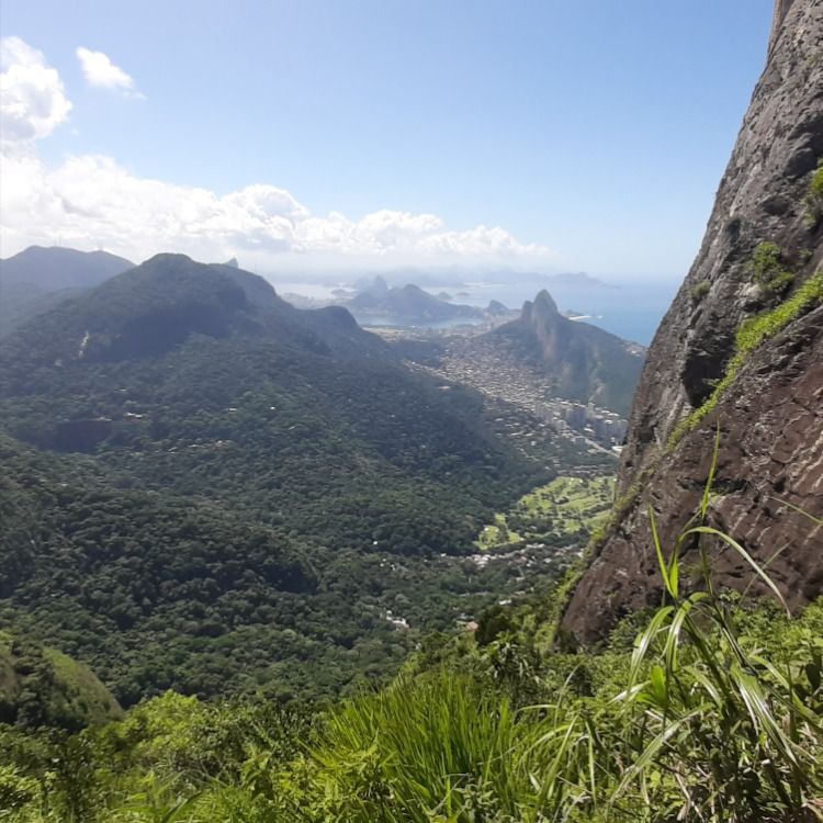 Vista geral do PN da Tijuca-RJ