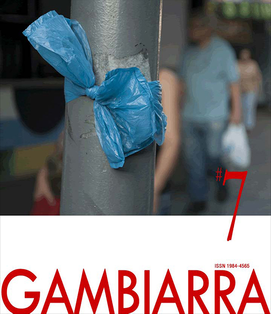 					Visualizar v. 6 n. 7 (2014): Gambiarra 7
				