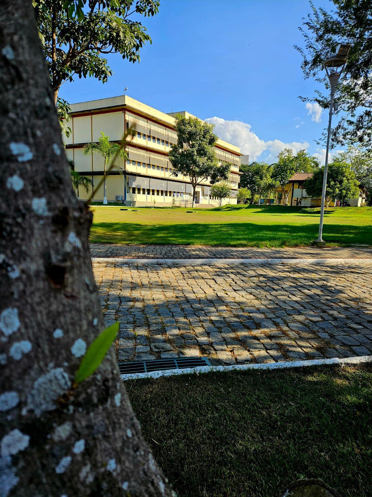 					Afficher Vol. 5 No 1 (2025): Dossiê temático: UFF 40 anos: Trajetórias de Pesquisas e Formação Docente
				